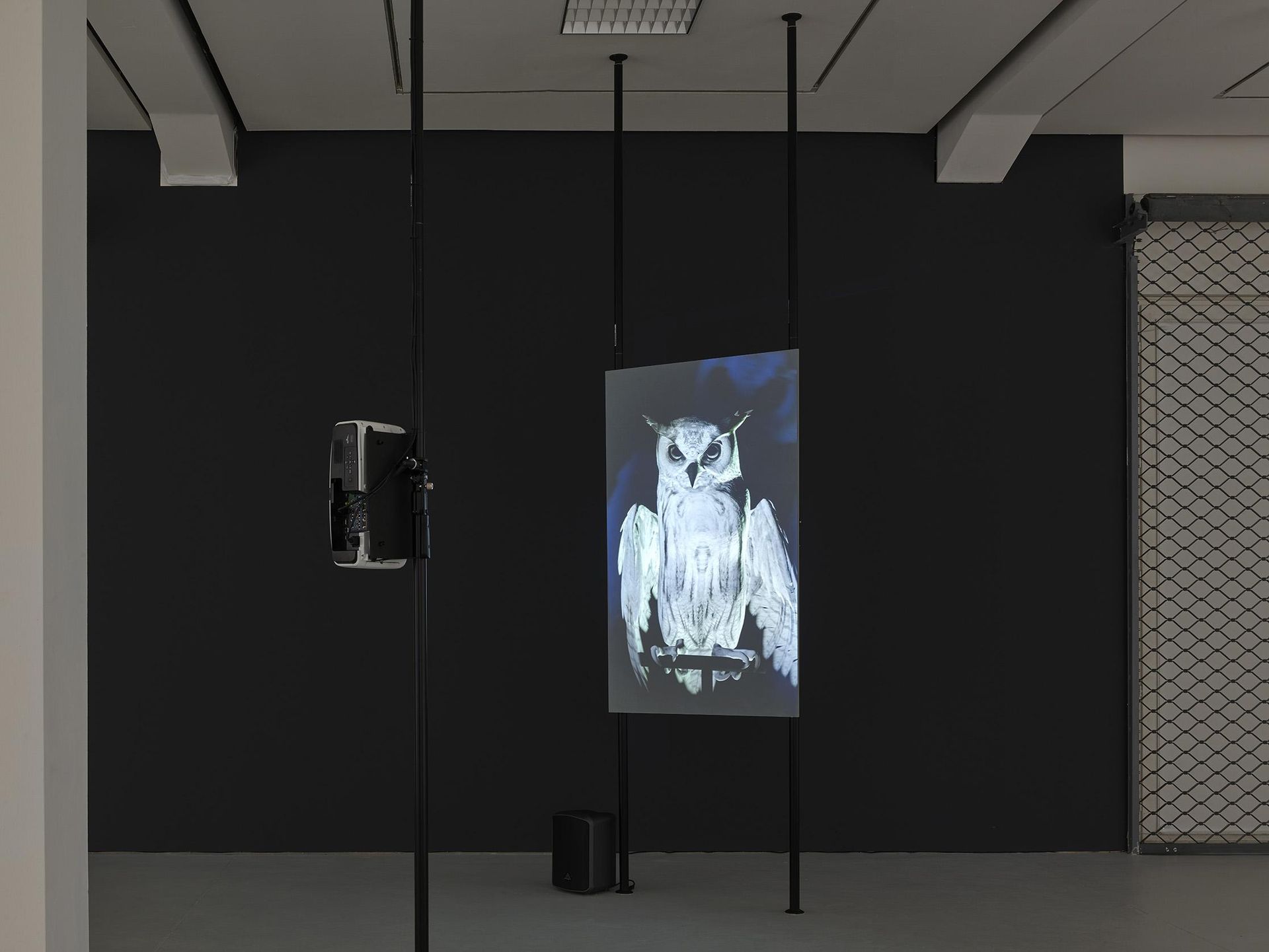 Ann Lislegaard, Oracles, Owls … Some Animals Never Sleep, 2012-2018, Courtesy die Künstlerin / the artist © VG Bild-Kunst, Bonn, Photo: Achim Kukulies