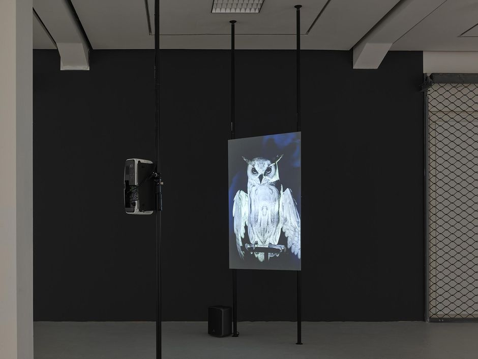 Ann Lislegaard, Oracles, Owls … Some Animals Never Sleep, 2012-2018, Courtesy die Künstlerin / the artist © VG Bild-Kunst, Bonn, Photo: Achim Kukulies