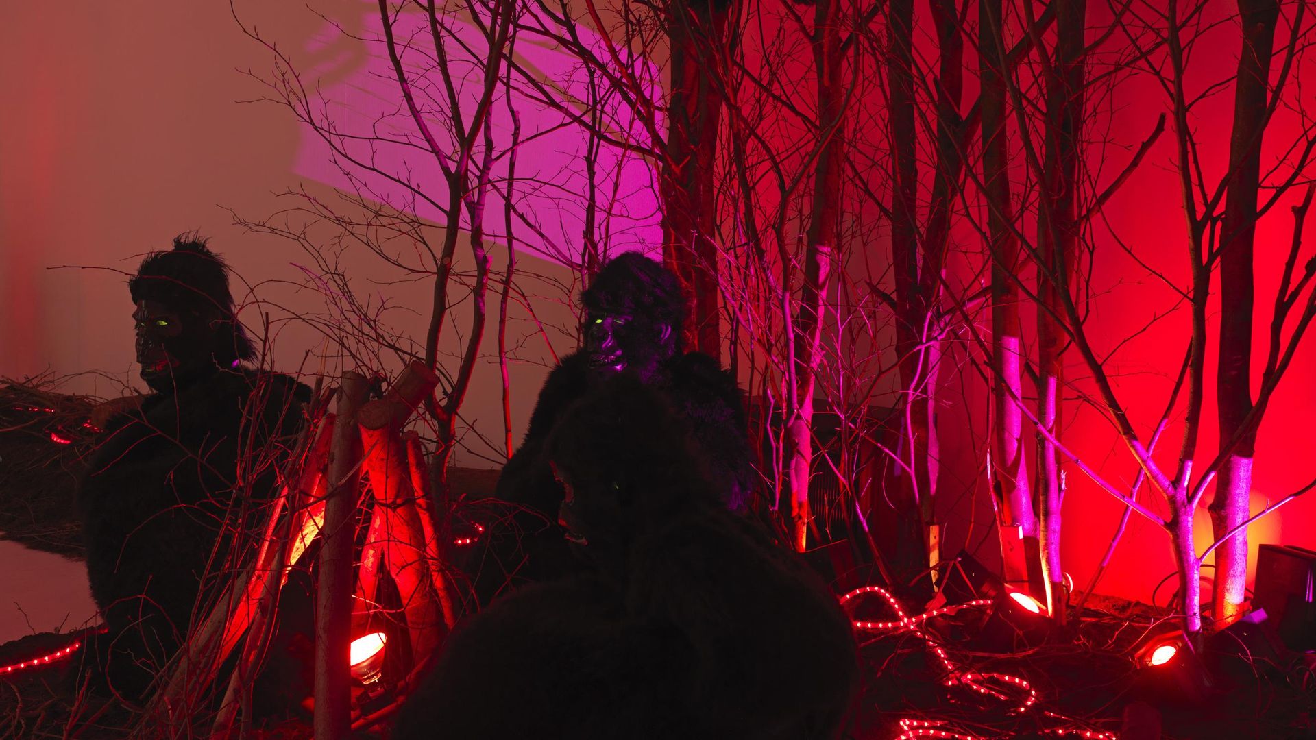 Olaf Bfreuning, Apes, Installationsansicht KAI 10, Courtesy Sammlung Falckenberg, Foto: © Achim Kukulies, 2012