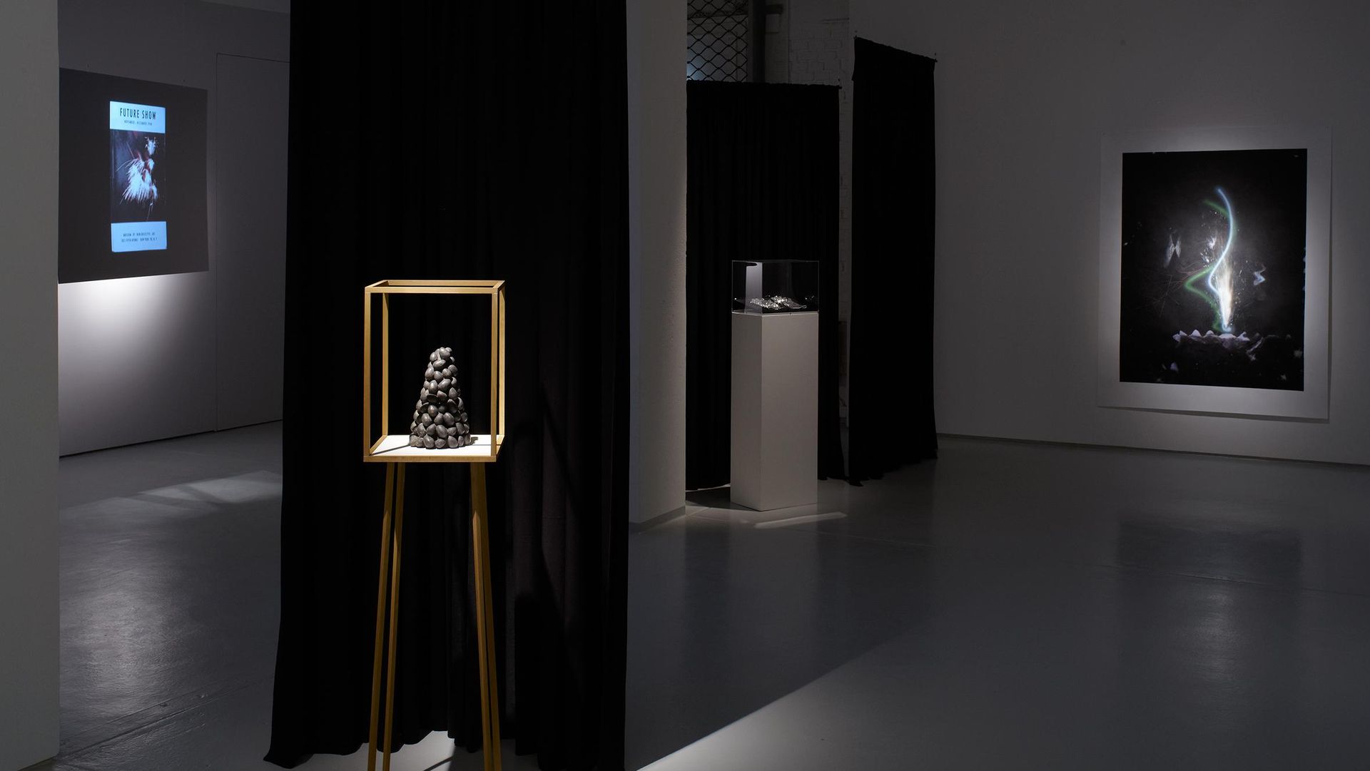 Alexandra Hopf, Future Show