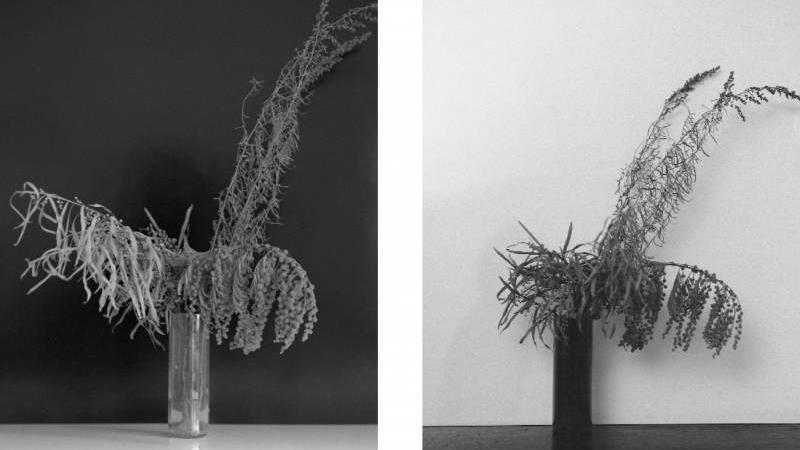 Markéta Othová, Untitled, 2008, Courtesy Galerie Jiri Svestka