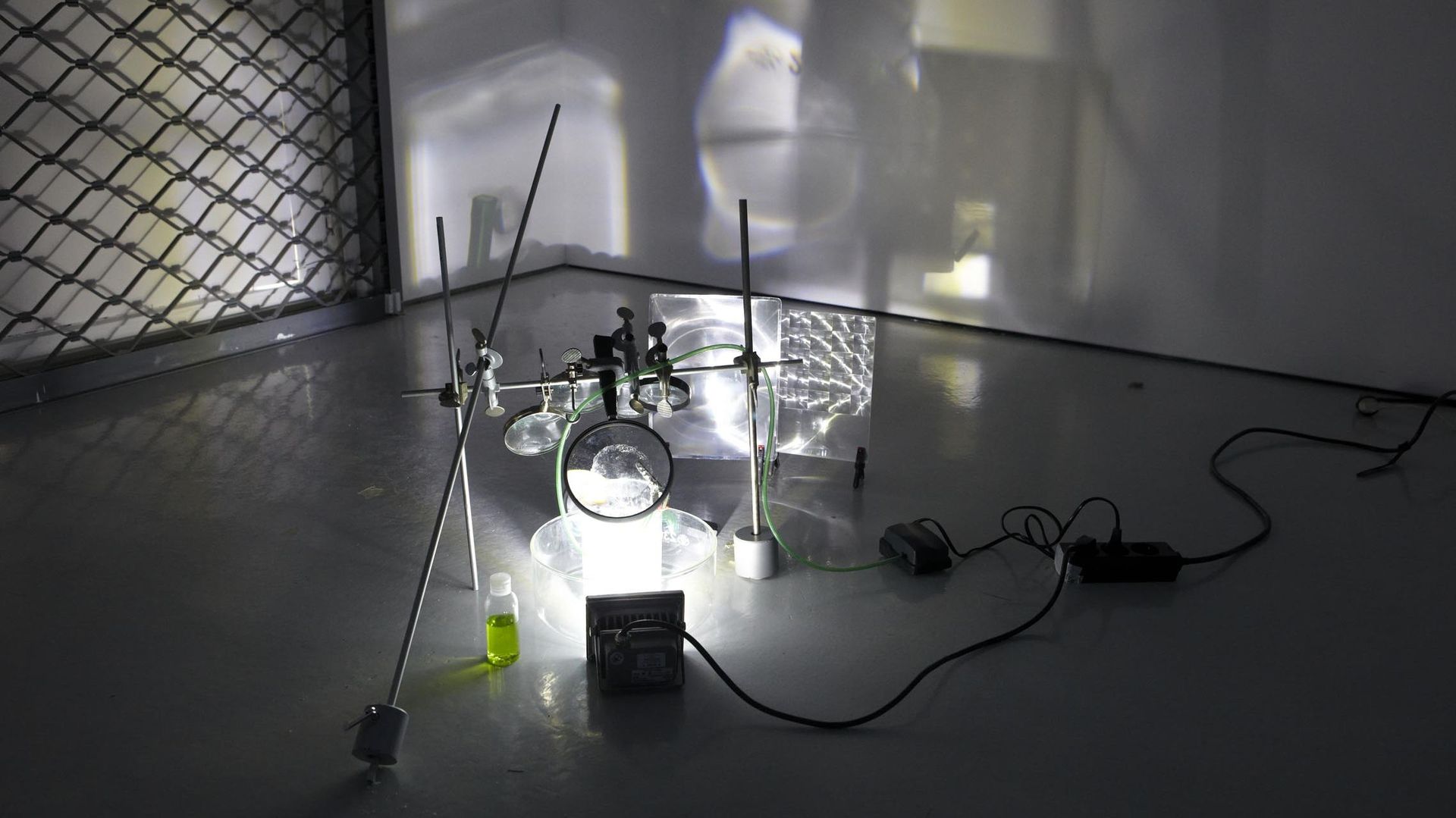 Tobias Daemgen & Moritz Ellerich, Rhizomatische Licht-Klang Installation, Installationsansicht KAI 10 | Raum für Kunst, Foto: Claus Langer