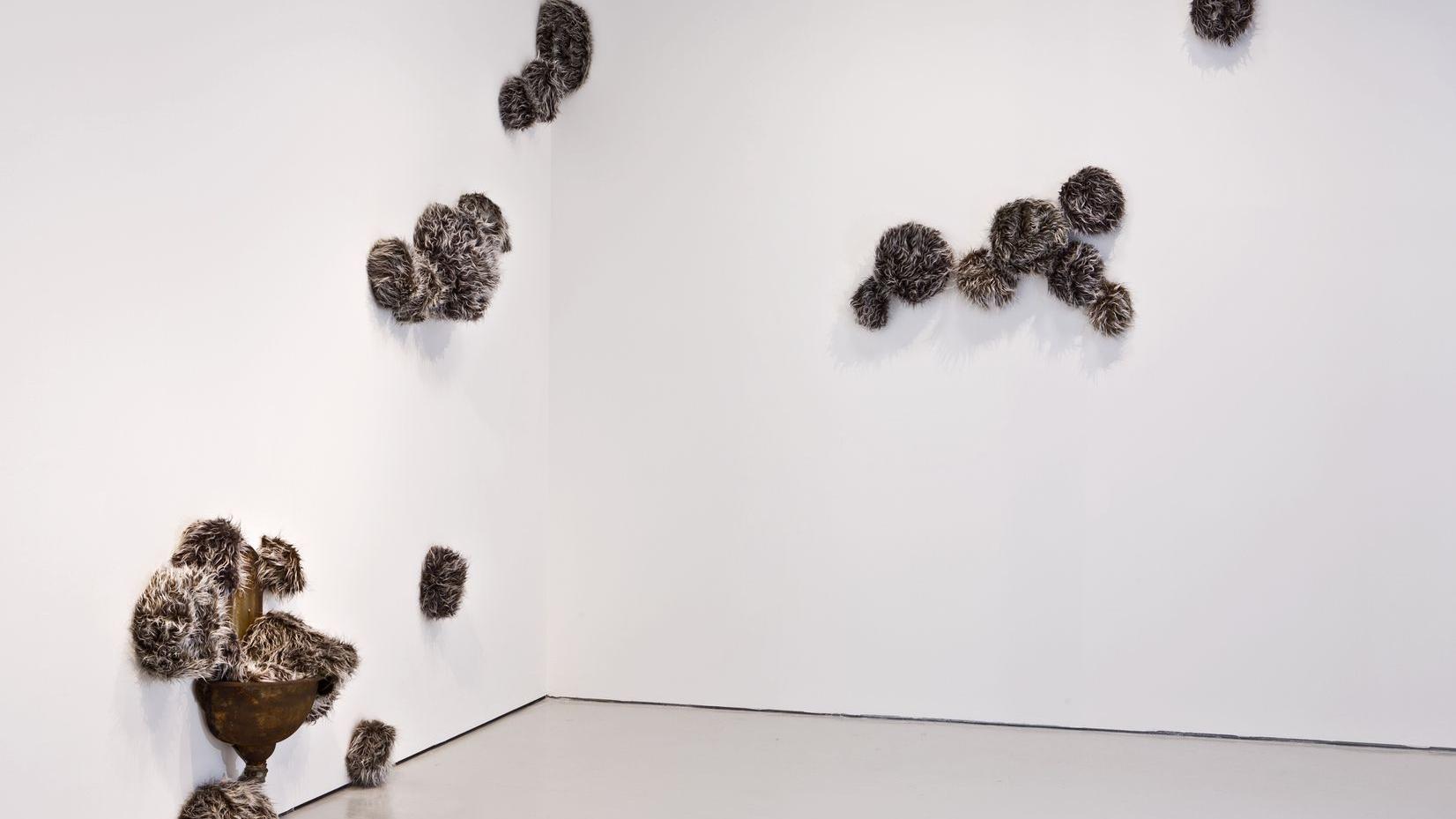 Günter Weseler, Ohne Titel, 2014, Ausguss, emailliertes Gusseisen, Atemobjekt, 20 Atemobjekte, Kunstfell, elektromechanische Steuerung, Walkman, Lautsprecher, Courtesy der Künstler & COSAR HMT, Düsseldorf, Foto: Alexandra Höner