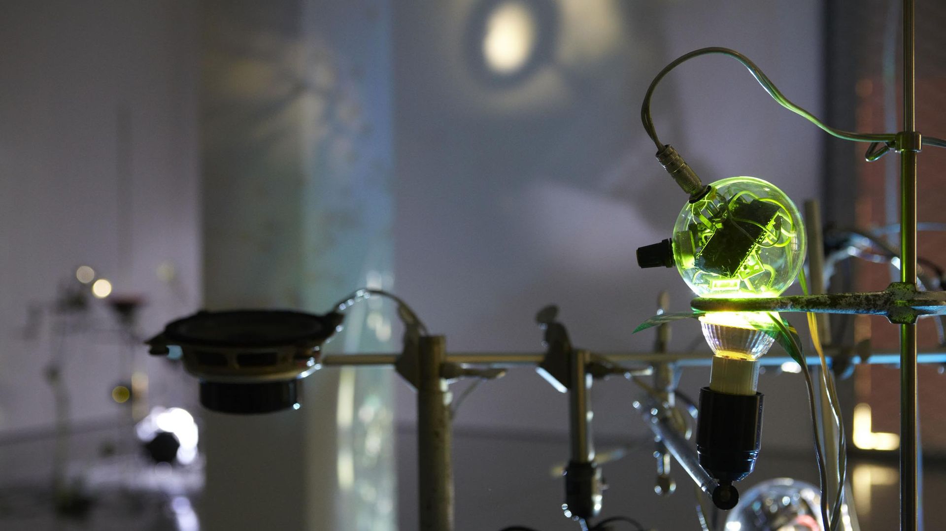 Tobias Daemgen & Moritz Ellerich, Rhizomatische Licht-Klang Installation, Installationsansicht KAI 10 | Raum für Kunst, Foto: Claus Langer