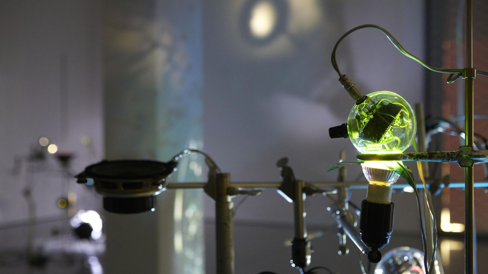 Installationsansicht Tobias Daemgen und Moritz Ellerich, Rhizomatische Licht-Klang Installation in KAI 10 | ARTHENA FOUNDATION / Foto: Claus Langer