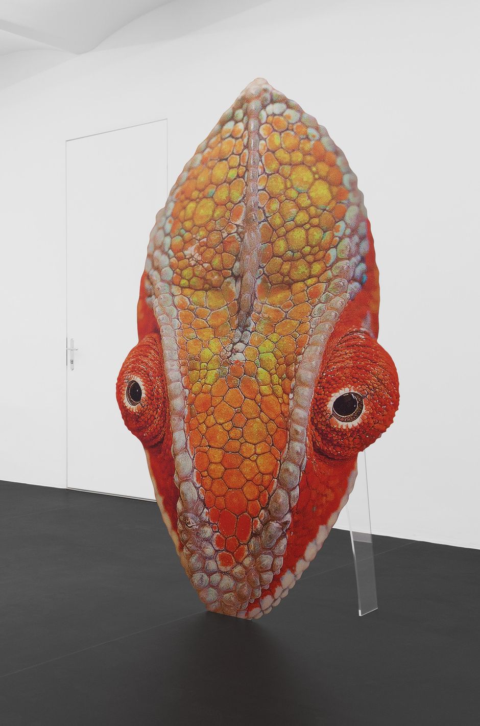 KATJA NOVITSKOVA, Approximation (Chameleon), 2017, Courtesy die Künstlerin und Privatsammlung | the artist and private collection, Foto: Gunter Lepkowski für | for MEYER*KAINER, Wien