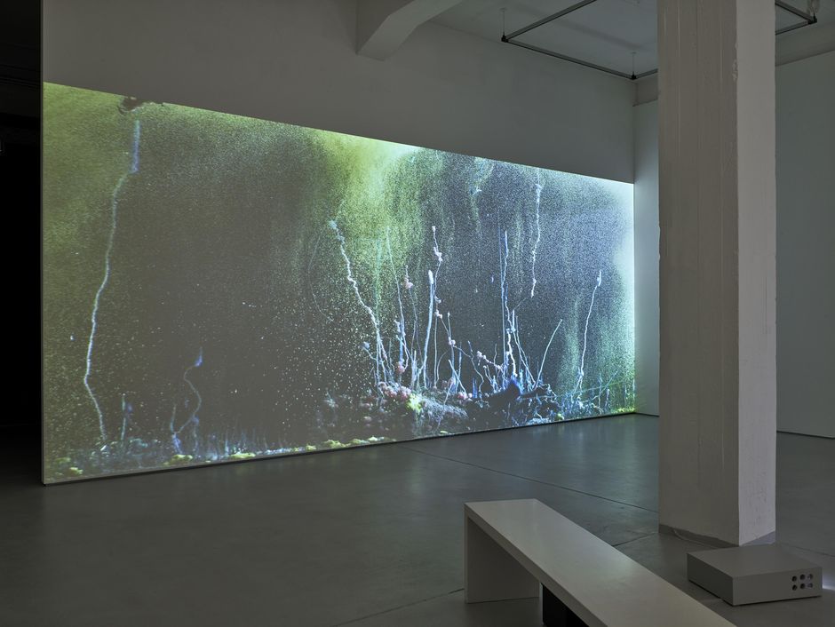 Hicham Berrada, Présage 09/05/2019 10h15, 2019, Installation view KAI 10 | ARTHENA FOUNDATION, Courtesy the artist, kamel mennour, Paris/London and Wentrup, Berlin, Photo: Achim Kukulies, Düsseldorf / VG Bild-Kunst, Bonn 2020