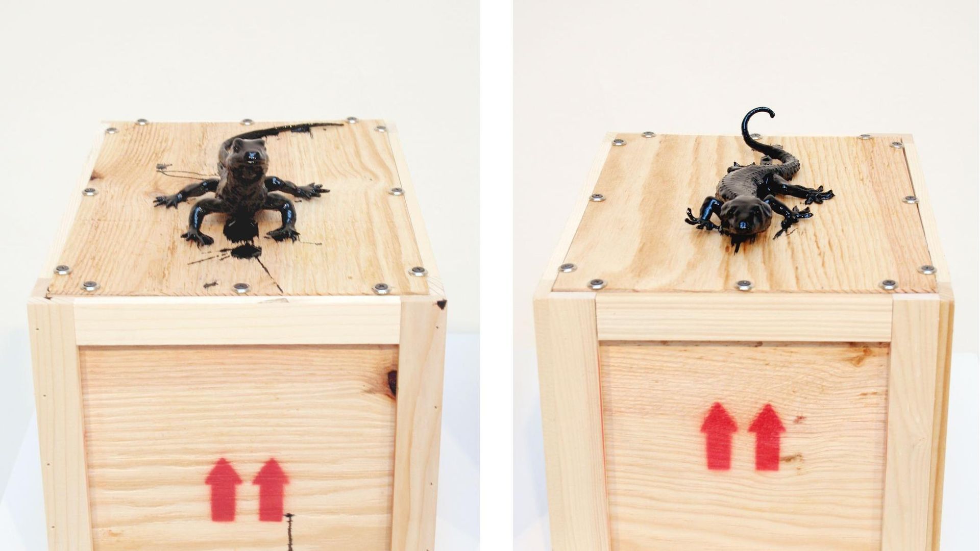 Mark Dion, The Tar Museum – Lizard and Gecko, 2006