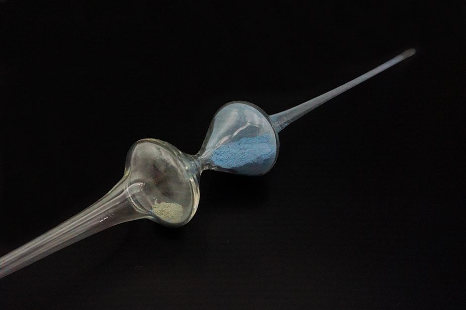 Agustina Woodgate, Highest Professional prestige in systemically relevant occupations Doctor (Time Capsule), 2020, Courtesy die Künstlerin und / the artist and Barro, Buenos Aires/New York, Photo: Studio Agustina Woodgate