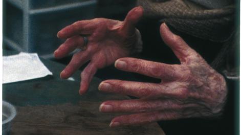 Lucy Skaer, Leonora (The Joker), 2006