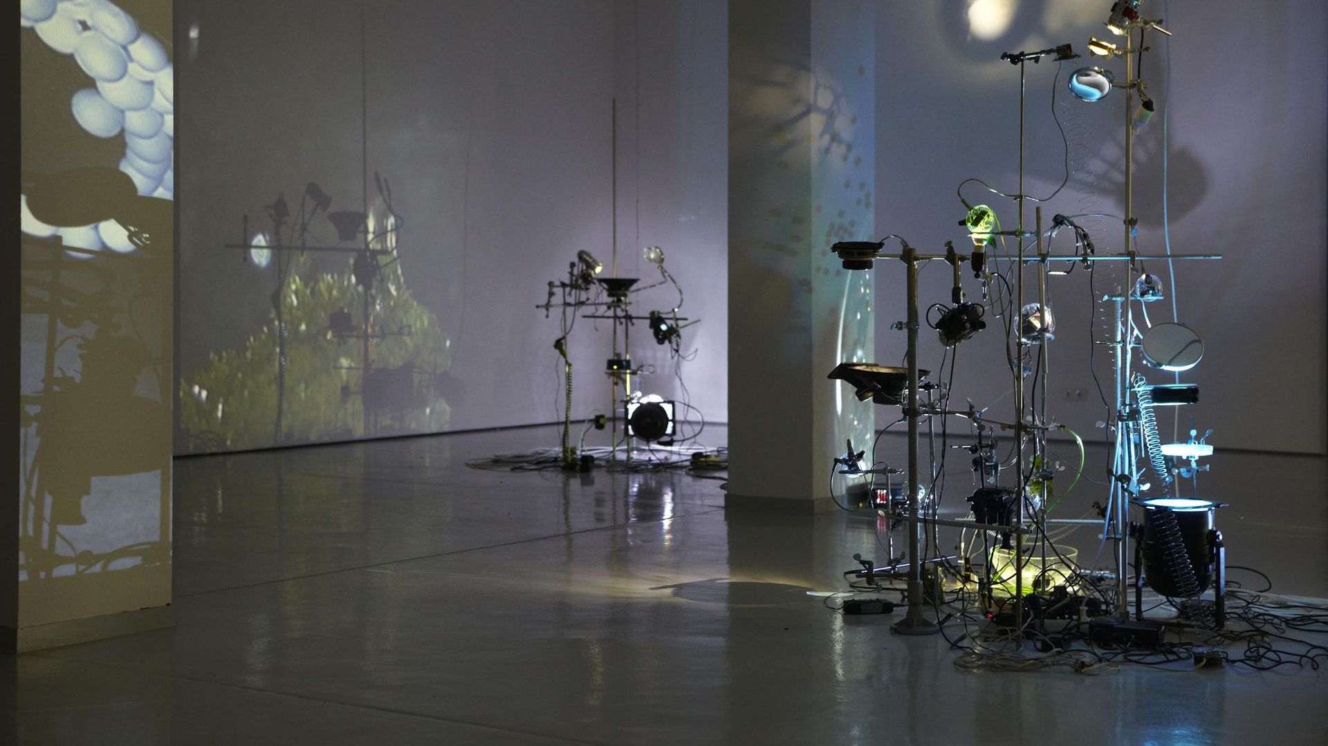 Tobias Daemgen & Moritz Ellerich, Rhizomatische Licht-Klang Installation, Installationsansicht KAI 10 | Raum für Kunst, Foto: Claus Langer