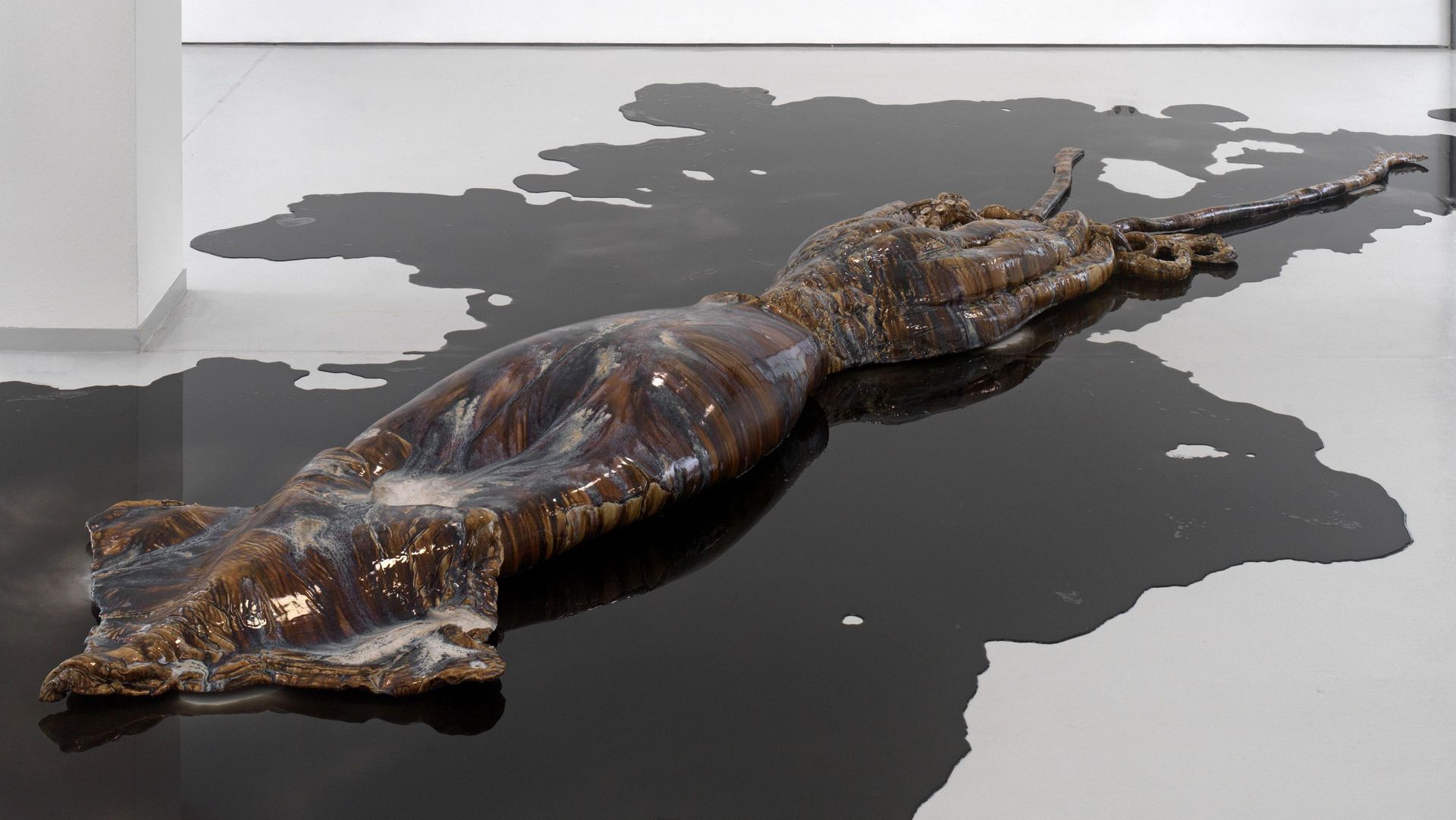 David Zink Yi, Untitled (Architeuthis) (ref 1), 2013 Installationsansicht