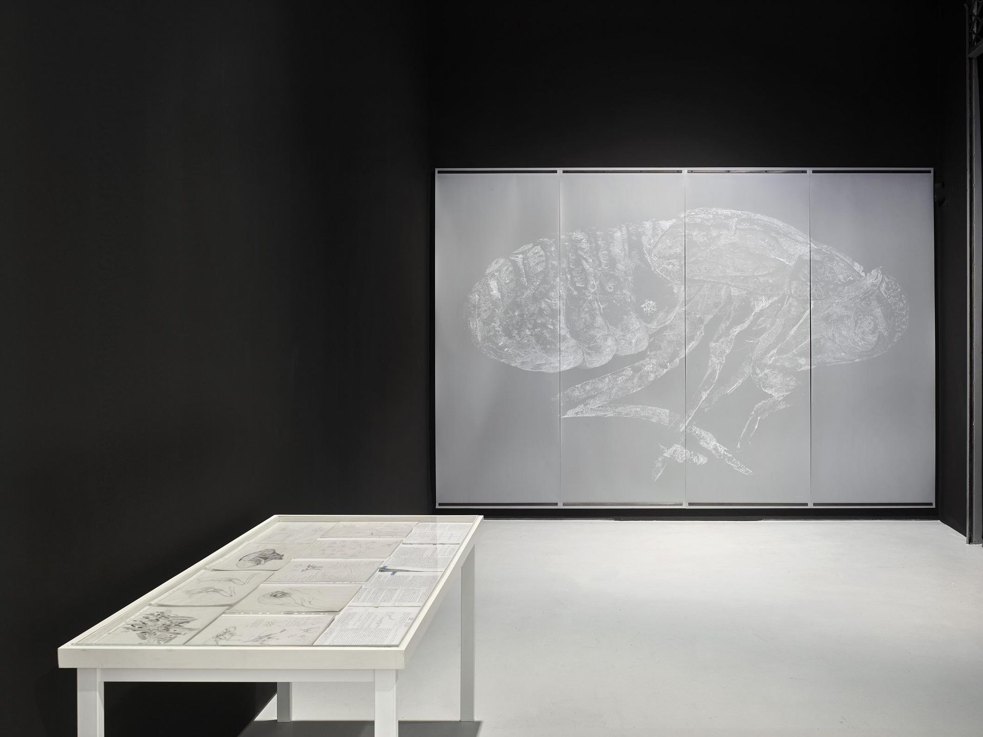 Installation view Oliver Thie in KAI 10 | ARTHENA FOUNDATION / Courtesy the artist / Photo: Achim Kukulies, Düsseldorf