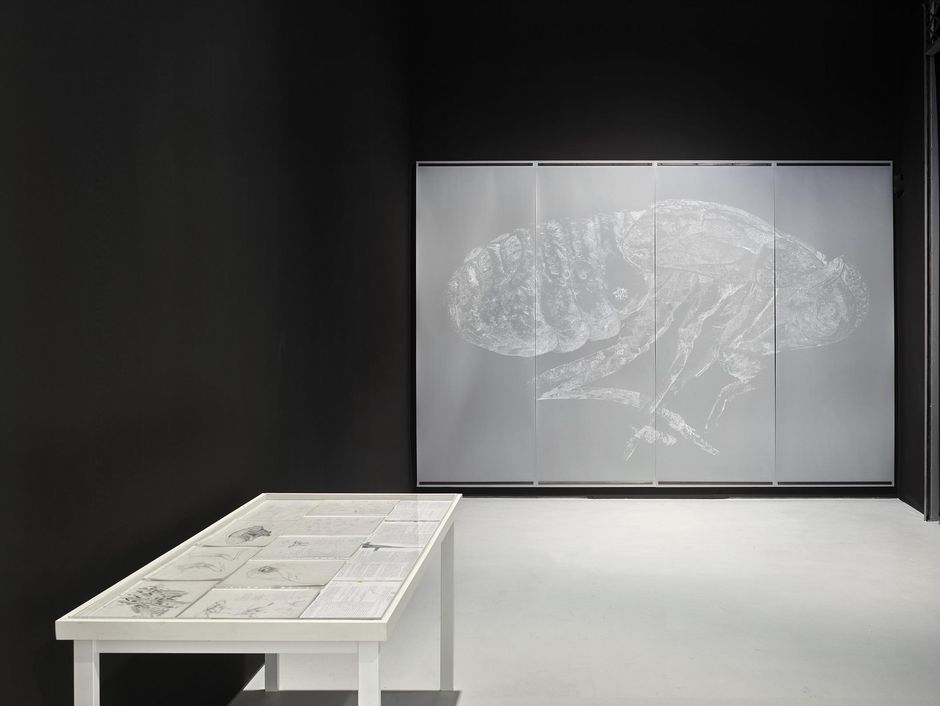 Installation view Oliver Thie in KAI 10 | ARTHENA FOUNDATION / Courtesy the artist / Photo: Achim Kukulies, Düsseldorf