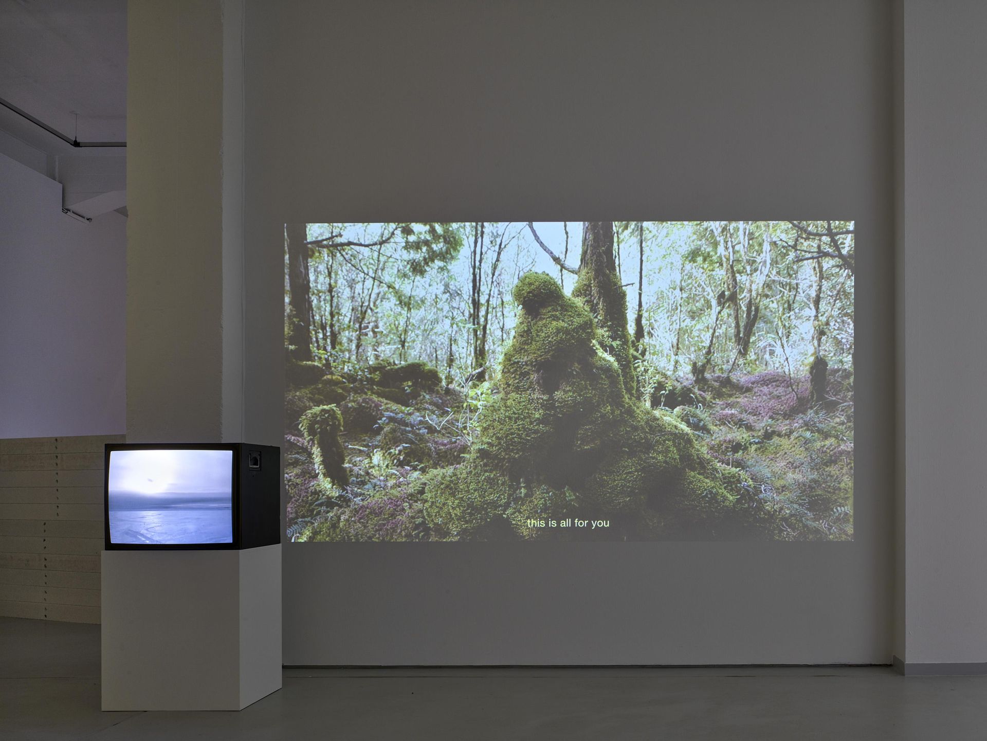 Installation view Su Yu Hsin, Hibernatemode, 2019 in KAI 10 | ARTHENA FOUNDATION / Courtesy the artist / Photo: Achim Kukulies, Düsseldorf
